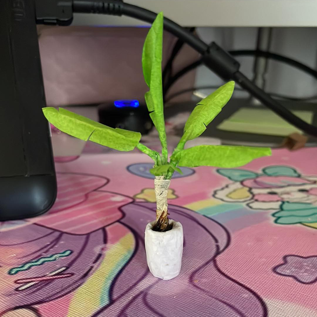 Banana Plant