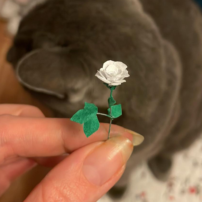 Rose